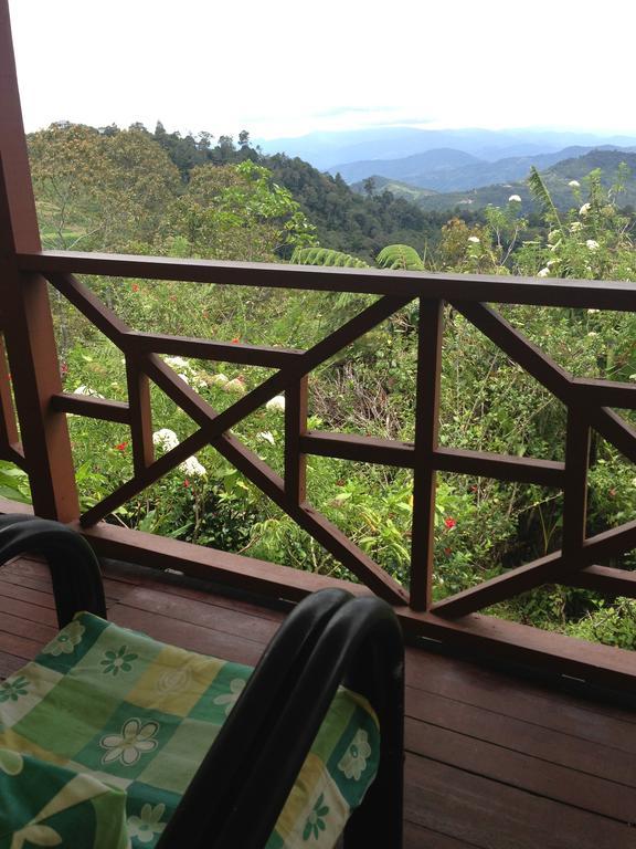 D'Villa Rina Ria Lodge, Kinabalu Park, Kundasang Номер фото