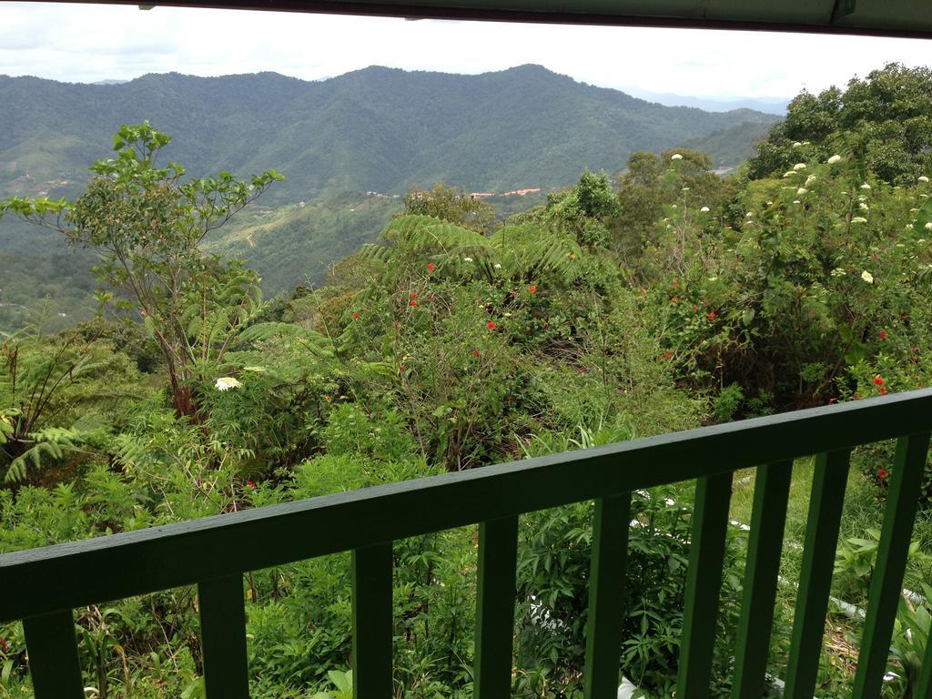 D'Villa Rina Ria Lodge, Kinabalu Park, Kundasang Экстерьер фото